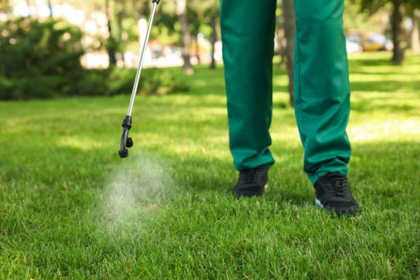 Professional Pest Control in Deer Park, OH