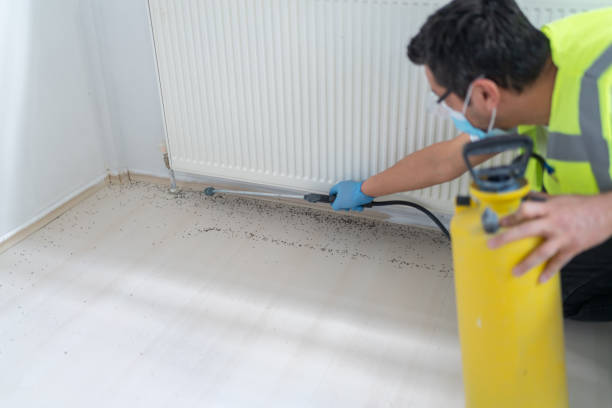 Best Wasp Removal Services  in Deer Park, OH