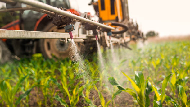 Best Insect Control  in Deer Park, OH